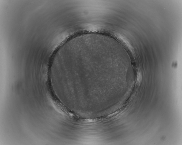 X0000089950496200707201929