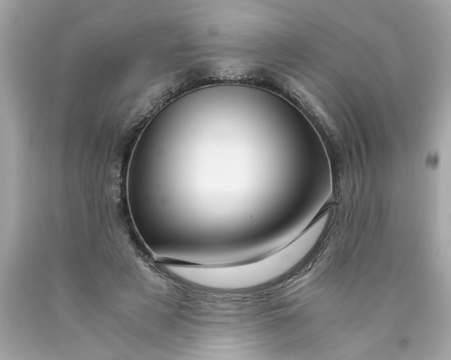 X0000089950497200707201928