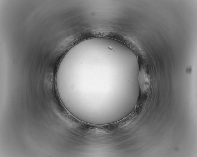 X0000089950498200707201928