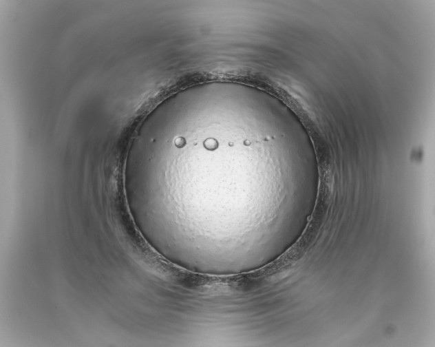 X0000089950499200707201928