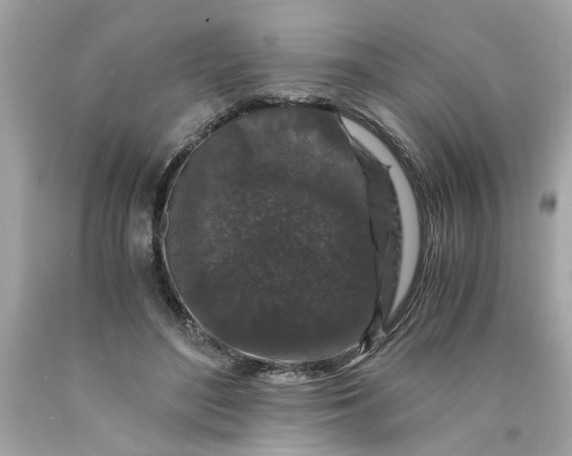 X0000089950500200707201928