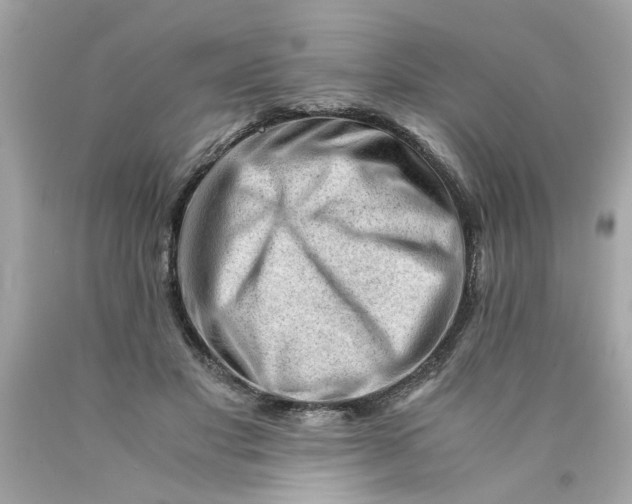 X0000089950501200707201928