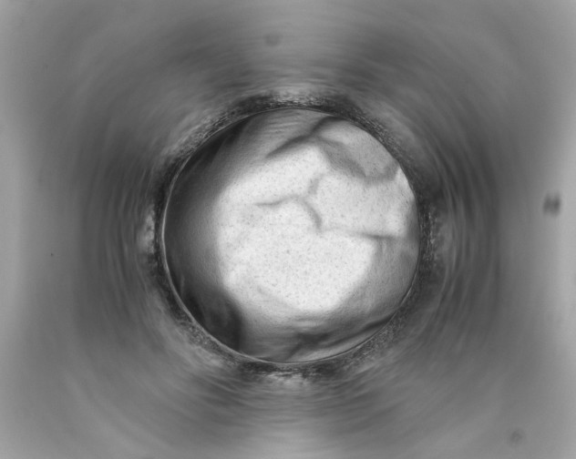 X0000089950502200707201928