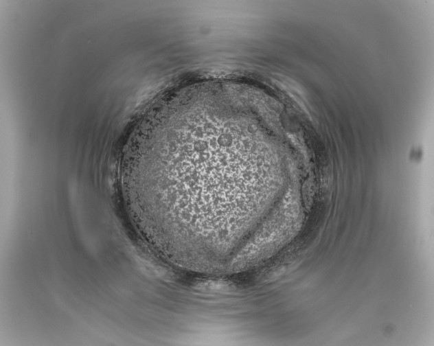 X0000089950503200707201928