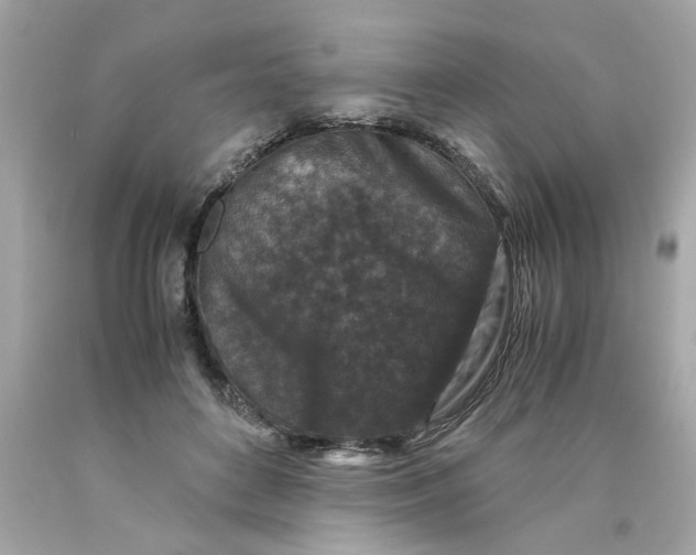 X0000089950504200707201928