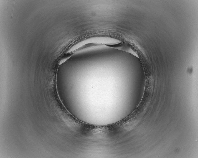 X0000089950505200707201928