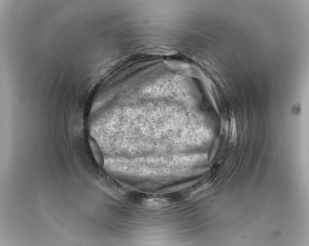 X0000089950508200707201928