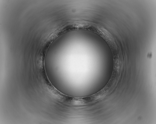 X0000089950510200707201928