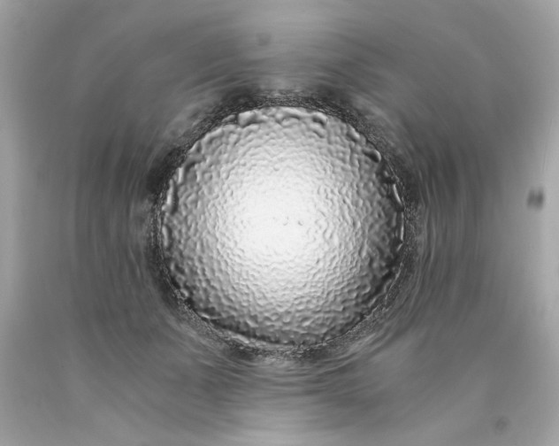 X0000089950511200707201928