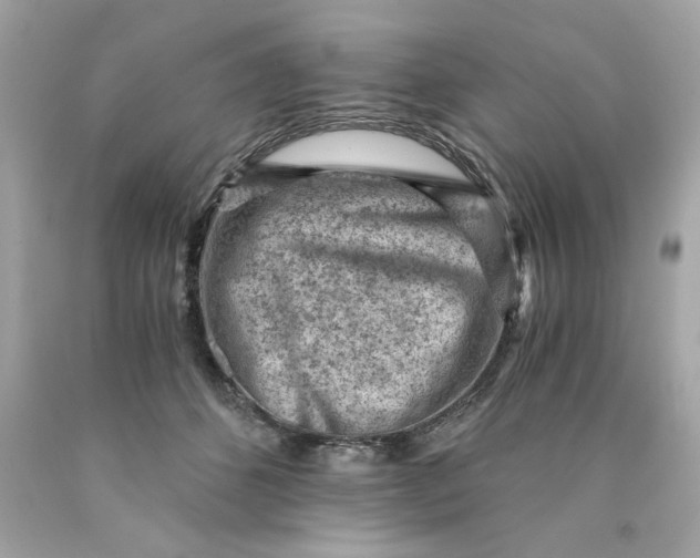 X0000089950512200707201928