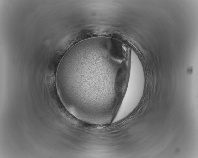 X0000089950513200707201928