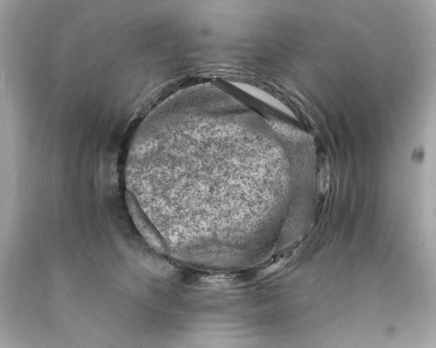 X0000089950516200707201928