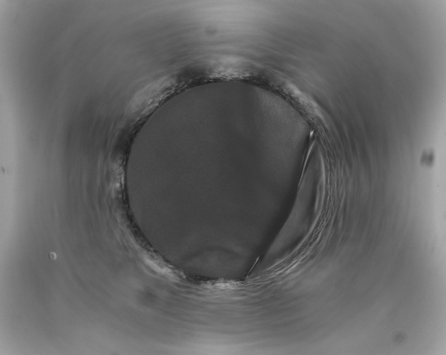 X0000089950517200707201928