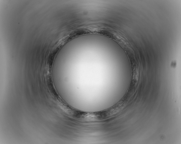 X0000089950518200707201928