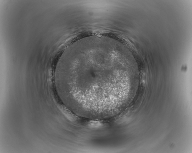 X0000089950519200707201928