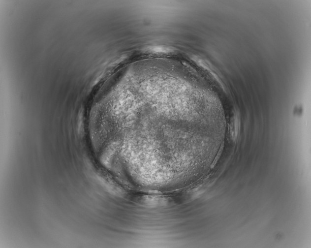 X0000089950520200707201928