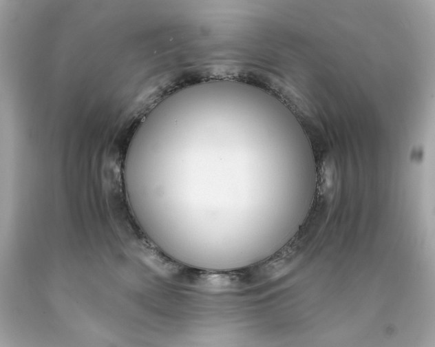 X0000089950522200707201928