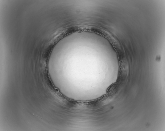 X0000089950523200707201928