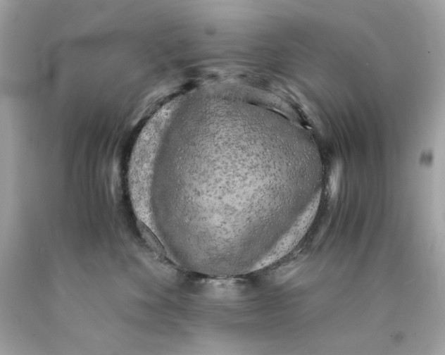 X0000089950524200707201928