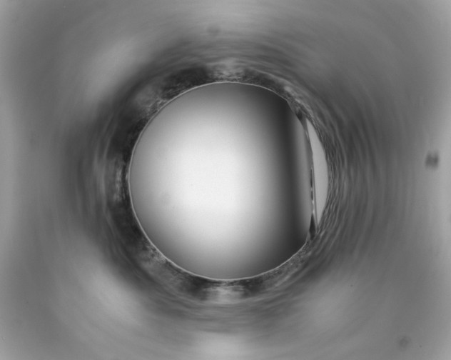 X0000089950525200707201928