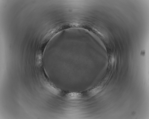 X0000089950526200707201928