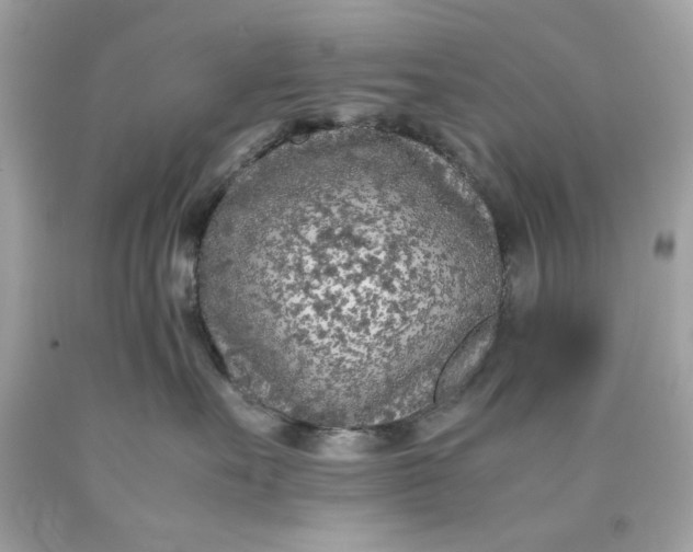 X0000089950527200707201928