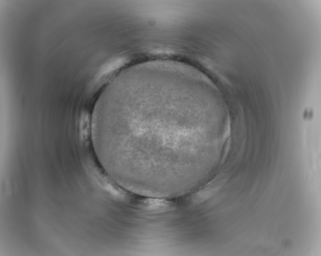 X0000089950528200707201928