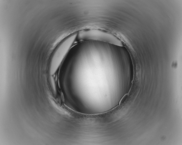 X0000089950530200707201927