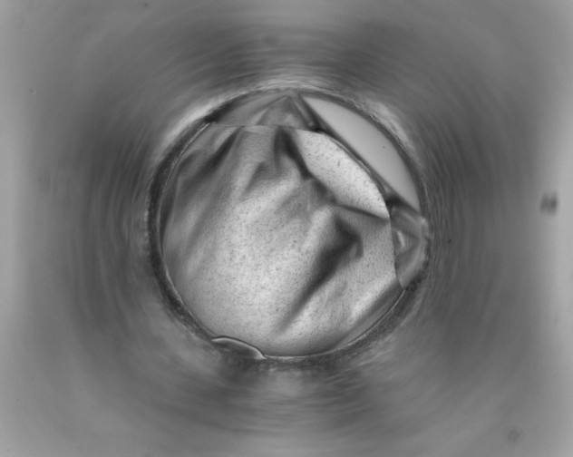 X0000089950531200707201927