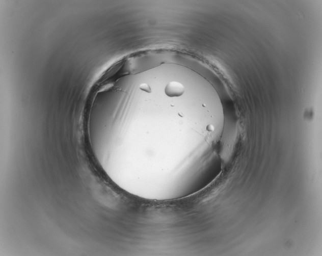 X0000089950532200707201927