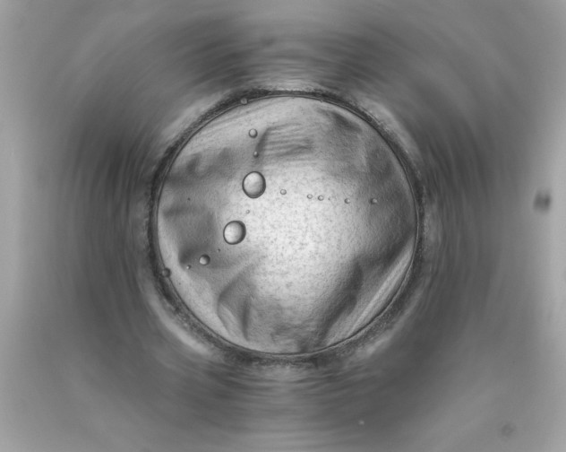 X0000089950533200707201927