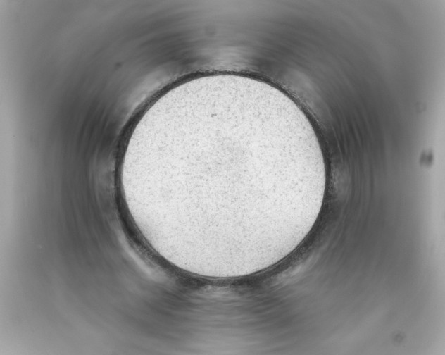 X0000089950534200707201927