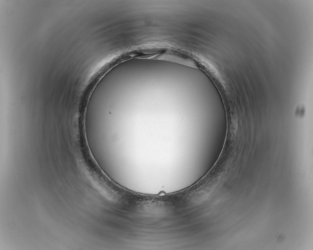 X0000089950535200707201927