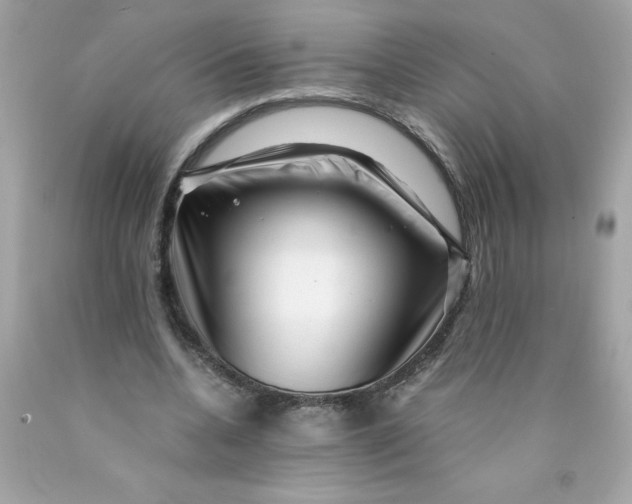 X0000089950536200707201927