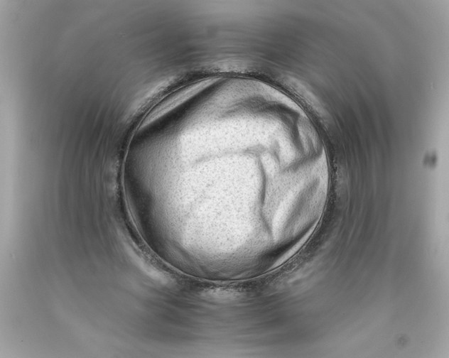 X0000089950537200707201927