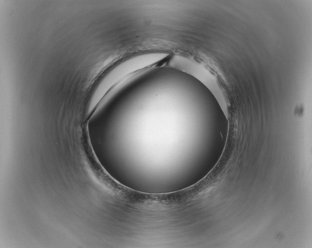 X0000089950538200707201927