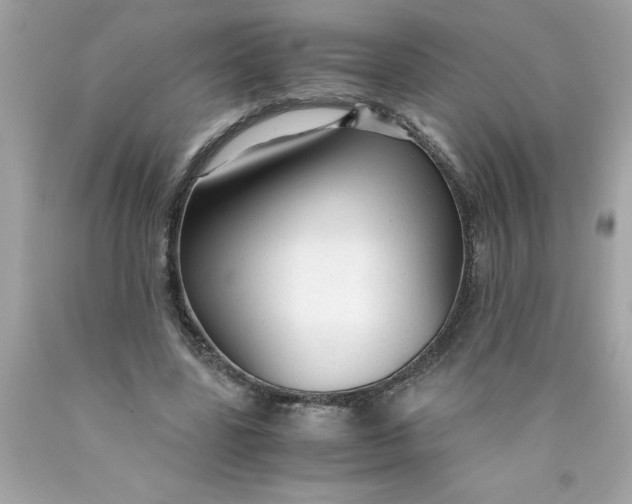 X0000089950539200707201927