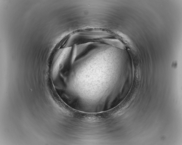 X0000089950540200707201927