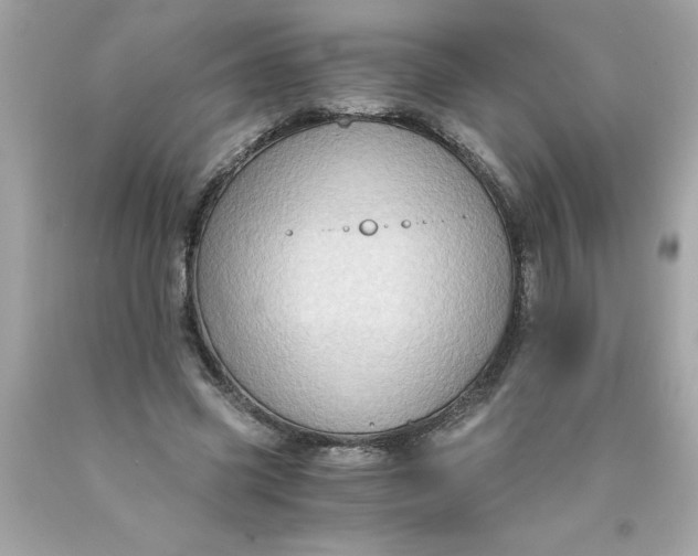 X0000089950541200707201927