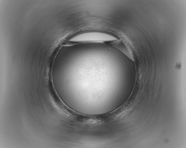 X0000089950542200707201927