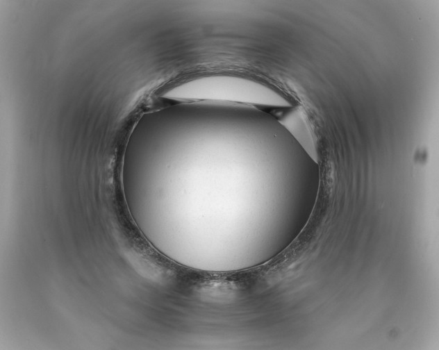 X0000089950543200707201927