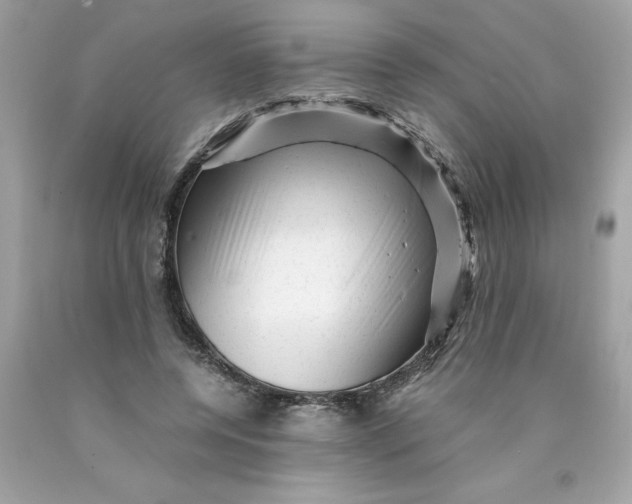 X0000089950544200707201927