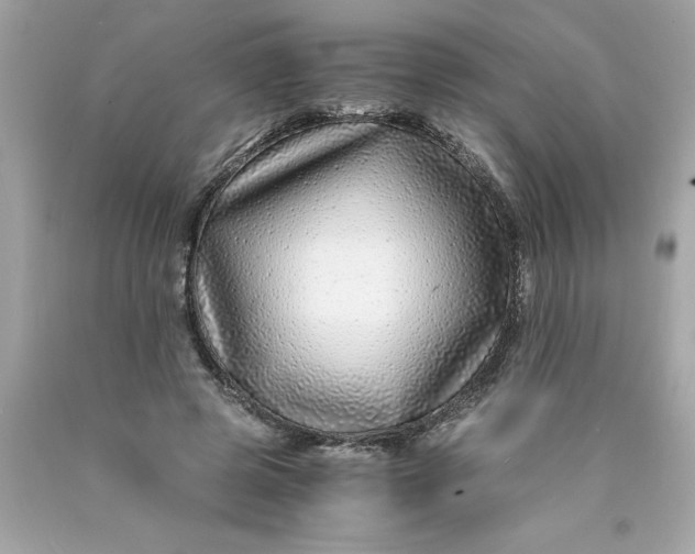 X0000089950545200707201927