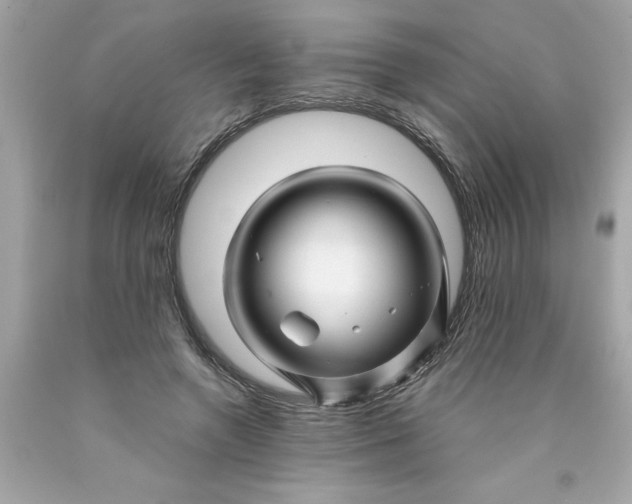 X0000089950546200707201927