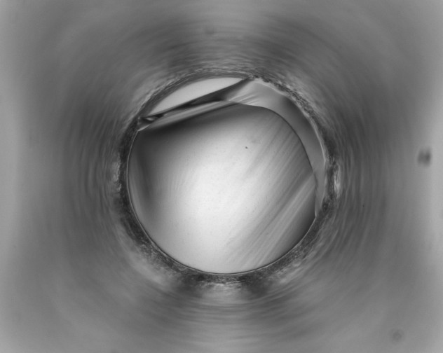 X0000089950548200707201927