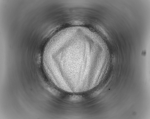 X0000089950549200707201927