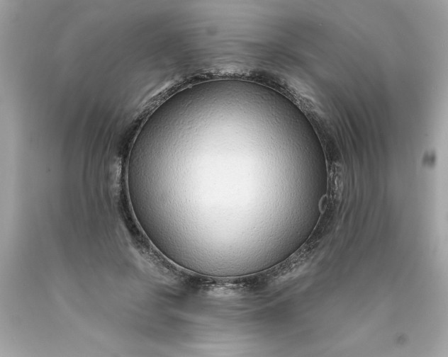 X0000089950550200707201927