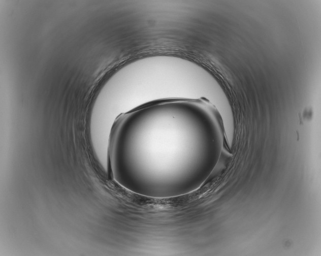 X0000089950552200707201928