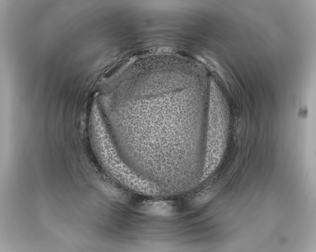 X0000089950553200707201928