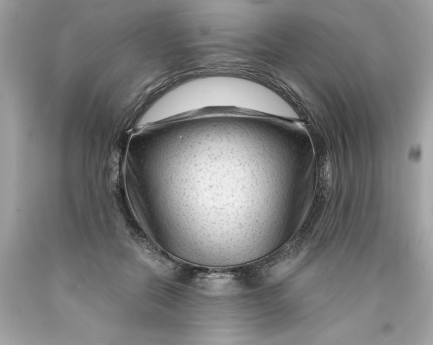 X0000089950554200707201928